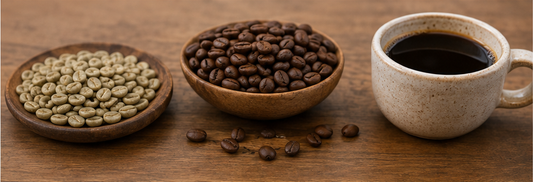 Illustration du grain de café vert, du café torréfié et d'une tasse de café