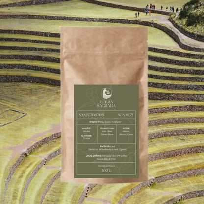 San Sebastian Tierra Sagrada