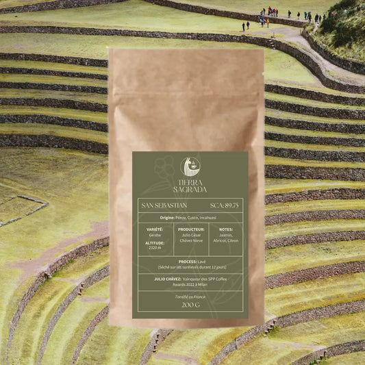 San Sebastian Tierra Sagrada