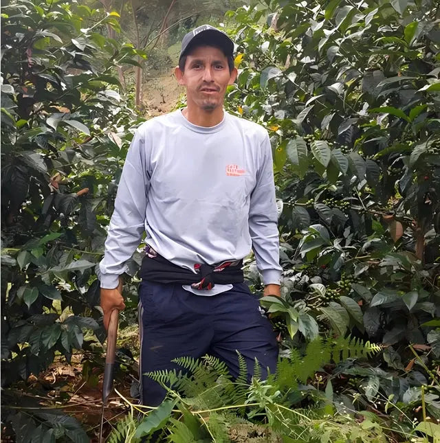 San Sebastian Tierra Sagrada