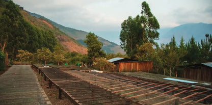La Coya Tierra Sagrada