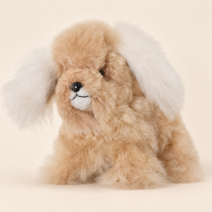 Peluche chien beige et blanche en laine d’alpaga de 15 cm sur fond crème
